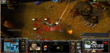 《女皇崛起：逆风开局，揭秘游戏新篇章》