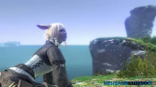 《最终幻想14》陷危机，SE社长亲述：玩家疑虑解答！