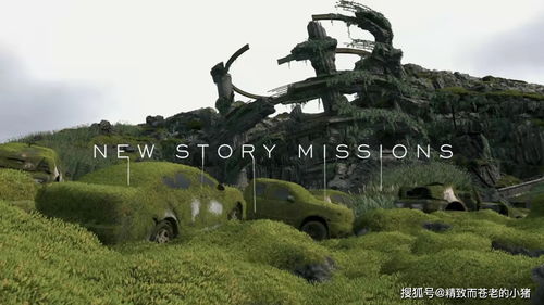 《死亡搁浅2》土澳奇遇：袋鼠竞速，生态大揭秘！