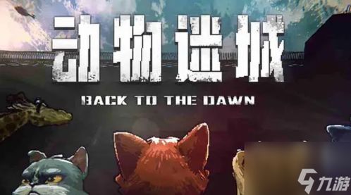 《动物迷城送礼攻略：揭秘各角色最爱礼物》