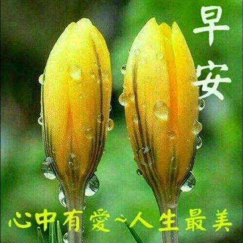 《死亡搁浅2》引擎揭秘：超越虚幻5，性能惊人！