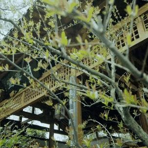 《萌宠温泉盛宴！《线条小狗》夏日大放价，88折邂逅萌宠疗愈之旅》