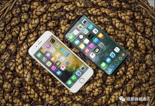 《揭秘！友商20周年iPhone纪念版造型猜想》