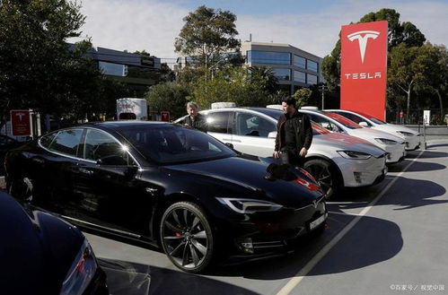 特斯拉Model Y无人驾驶大挑战：全程自动送达，你敢试吗？