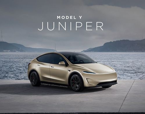 雷军点赞特斯拉Model Y：无人驾驶新体验，科技狂潮来袭