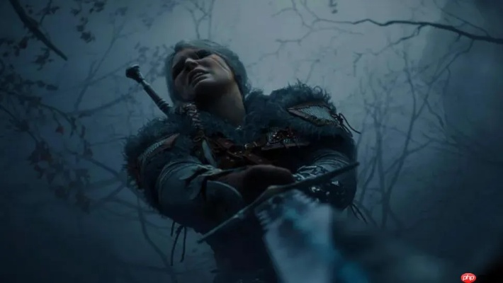 《巫师4》艺术风格不变，素材或有惊喜调整！