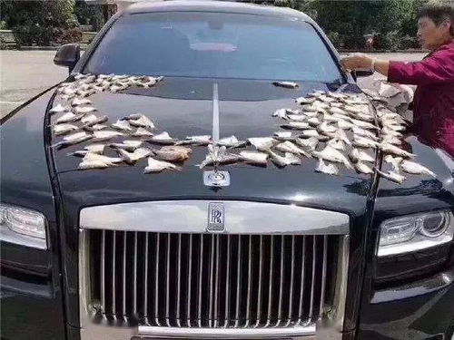 劳斯莱斯销售大战：女友怒骂，小乌龟反击，男子尴尬收场