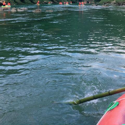 《Steam夏日大促狂潮！G胖亏本大揭秘！》