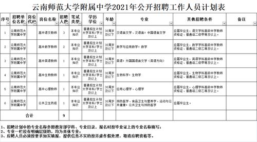张雪峰直言：文科生不考公就是销售？揭秘真实职业选择！