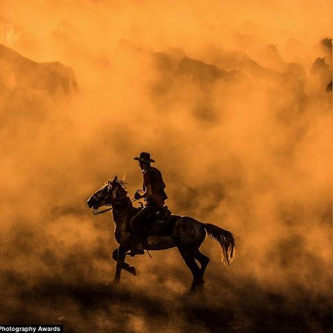 索尼PS PLUS涨价引愤怒，土耳其巴西玩家集体抵制！