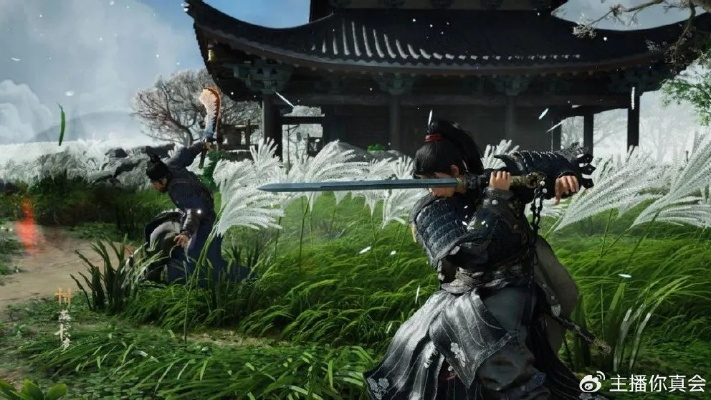 《一枪断索秘境探秘：燕云十六声节度使府寻宝攻略》