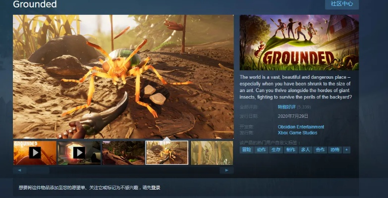 禁闭求生2：Steam热门生存游戏揭秘