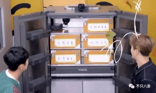 《分拣员模拟器语言支持揭秘：支持中文吗？》