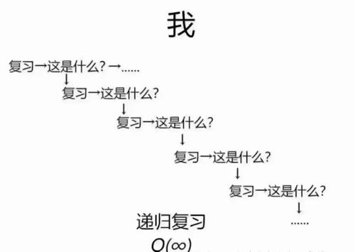 《苏丹启蒙秘籍：石读物获取独家攻略》