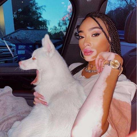 超自然莉莉角色解析：揭秘游戏新秀实力强度