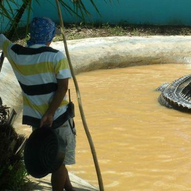 《合金装备3重制版》鳄鱼装潜行DLC：惊险刺激，揭秘潜行大师的秘密