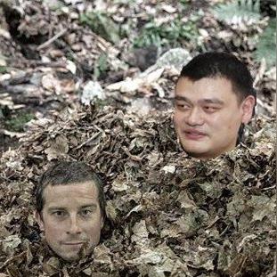 《荒野一锅炖攻略：自制美食大餐秘籍》