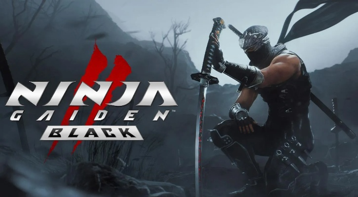 《忍者龙剑传怒之羁绊PC配置一览：轻松畅玩必备条件》