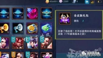 《一枪断索获取攻略：揭秘燕云十六声节度使府珍稀物品》