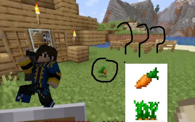 《Minecraft金胡萝卜合成攻略：快速获取方法揭秘》