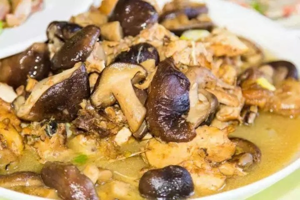 《苏丹秘境：禽肉炒蘑菇大餐攻略》