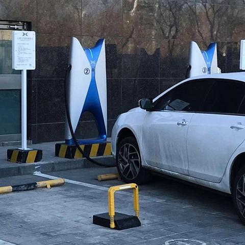 小鹏G7空间奇效：大象也能轻松入座！