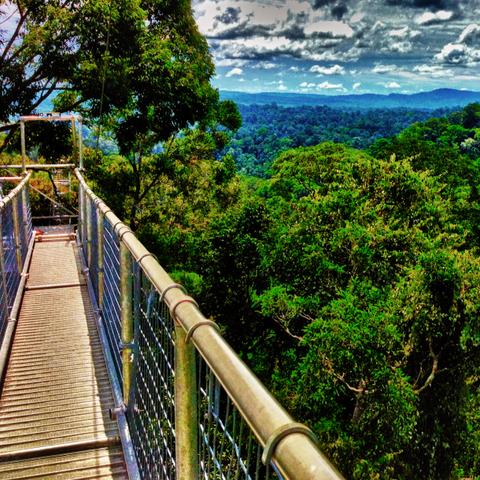 《苏丹秘境：轻松解锁史诗级石读物攻略》