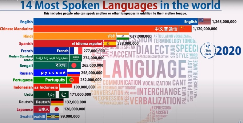 《Noobs Are Coming语言支持揭秘：支持哪些语言？》