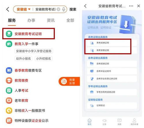 高考成绩查询大揭秘！多地已开放往届成绩网查通道