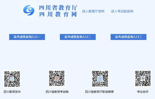 高考成绩查询大揭秘！多地已开放往届成绩网查通道