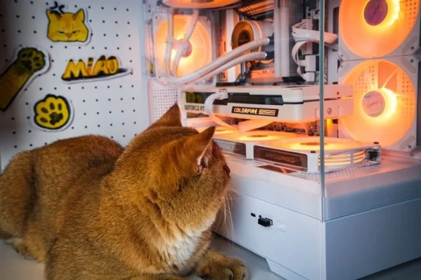 AMD AM5主板仅899元！萌翻玩家的橘猫主题主板限时开抢