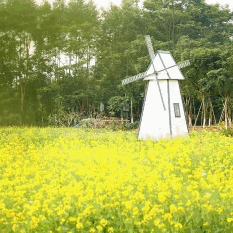 《晴空之下》神秘上线日揭晓！揭秘游戏上线时间！