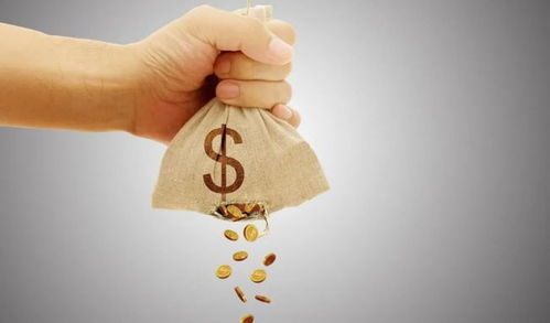 《苏菲亚谎言揭秘：代价背后的真相》