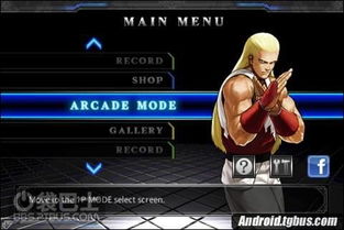 《灵拳PC配置一览：轻松畅玩必备系统要求》