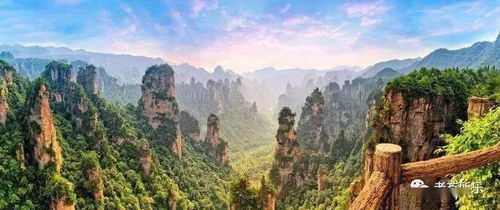 《开心大碰撞》阵容攻略：打造无敌最强组合