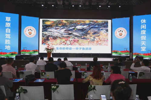 《开心大碰撞》阵容攻略：打造无敌最强组合