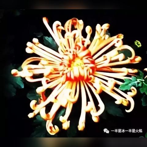 《无尽冬日氪金真相揭秘：2025年深度解析》