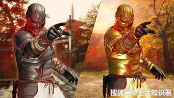 《忍龙》红叶新角色登场！《无双深渊》独家揭秘