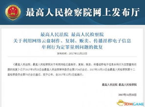 N站创始人正面回应：法律至上！成人内容年龄验证争议深度解析