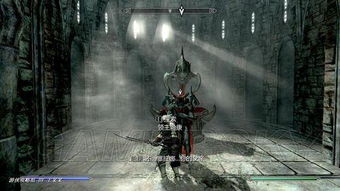 《黎明行者激战吸血鬼：惊心动魄的生死对决》