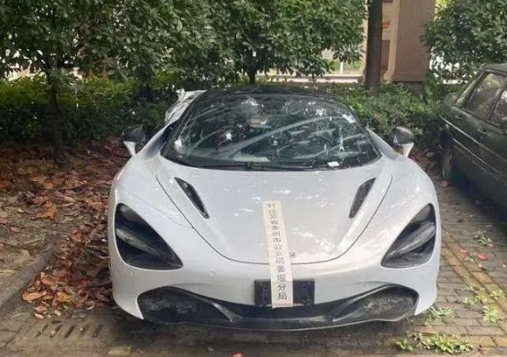 神秘竞拍！400万迈凯伦VS89万豪车，仅一人出手！