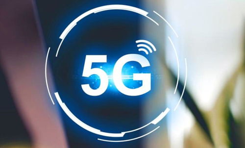 《严阵以待》暴力画面调整揭秘：开发商合规底线大揭秘