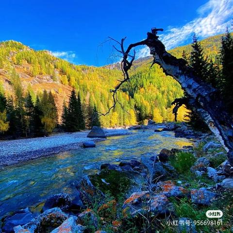 《魔圆手游第八章隐藏宝藏揭秘！影之魔女物品位置大公开》