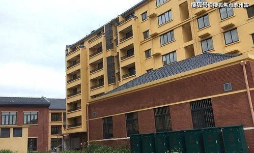 《龙渊解限机攻略：独家玩法揭秘》