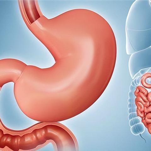 《神秘新血型揭秘！全球仅一人，血型家族扩至48种》