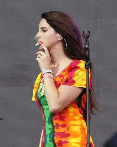 打雷姐爱尔兰演唱会疑走心：中途离场拥抱老公引热议