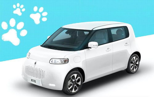 极氪001FR震撼升级：2000匹马力，白车身焕新登场！