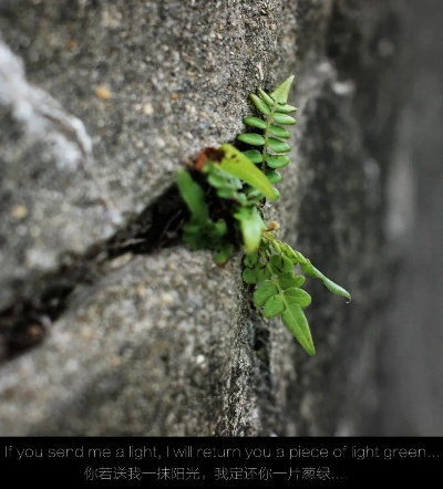 《异环》夹缝求生，揭秘如何独辟蹊径闯出天地