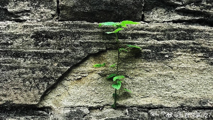 《异环》夹缝求生，揭秘如何独辟蹊径闯出天地