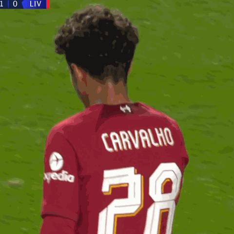 利物浦前锋若塔车祸离世：超车爆胎悲剧真相揭晓